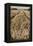 Fields of Wheat-Tim Kahane-Framed Premier Image Canvas