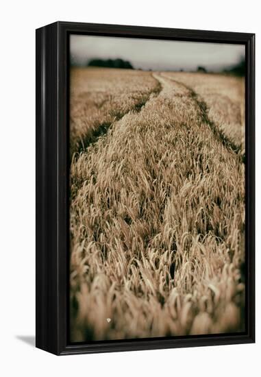 Fields of Wheat-Tim Kahane-Framed Premier Image Canvas