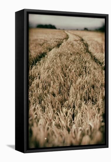 Fields of Wheat-Tim Kahane-Framed Premier Image Canvas