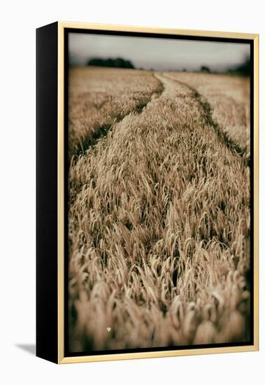 Fields of Wheat-Tim Kahane-Framed Premier Image Canvas