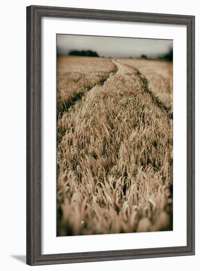 Fields of Wheat-Tim Kahane-Framed Photographic Print