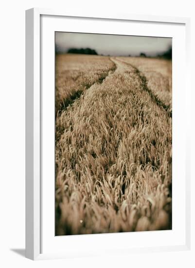 Fields of Wheat-Tim Kahane-Framed Photographic Print