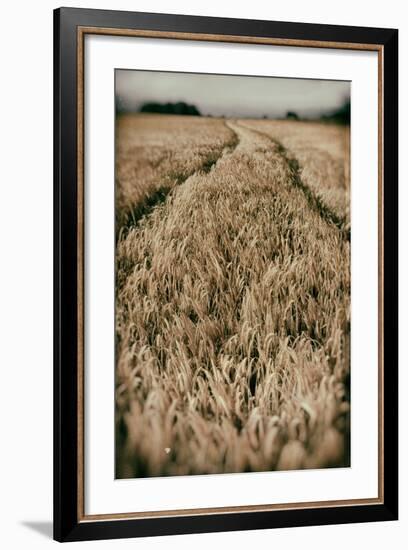 Fields of Wheat-Tim Kahane-Framed Photographic Print