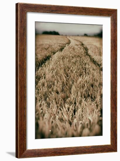 Fields of Wheat-Tim Kahane-Framed Photographic Print