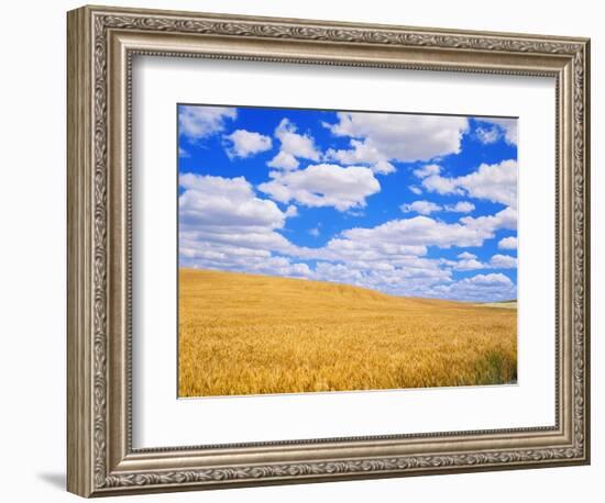 Fields of Wheat-Darrell Gulin-Framed Photographic Print