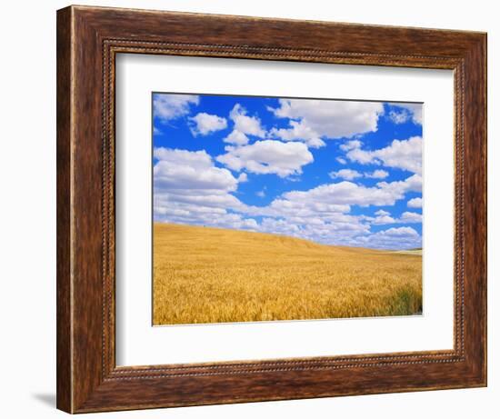 Fields of Wheat-Darrell Gulin-Framed Photographic Print