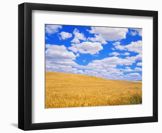 Fields of Wheat-Darrell Gulin-Framed Photographic Print