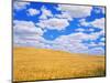 Fields of Wheat-Darrell Gulin-Mounted Photographic Print