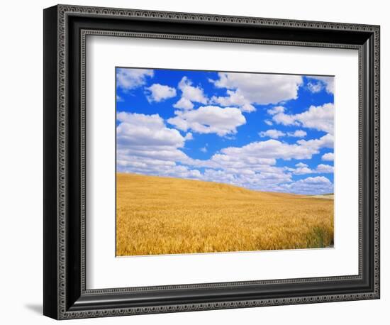 Fields of Wheat-Darrell Gulin-Framed Photographic Print