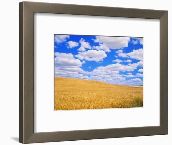 Fields of Wheat-Darrell Gulin-Framed Photographic Print