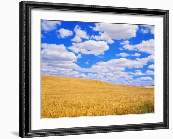 Fields of Wheat-Darrell Gulin-Framed Photographic Print