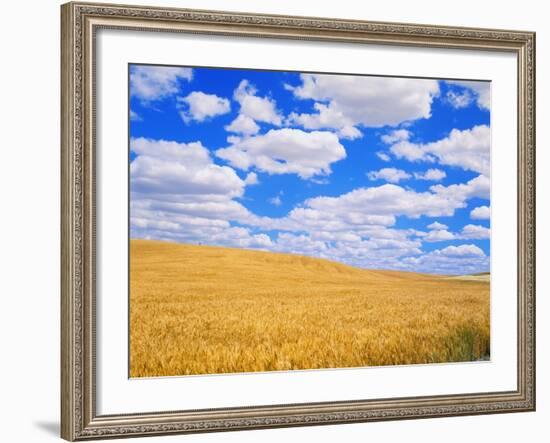 Fields of Wheat-Darrell Gulin-Framed Photographic Print