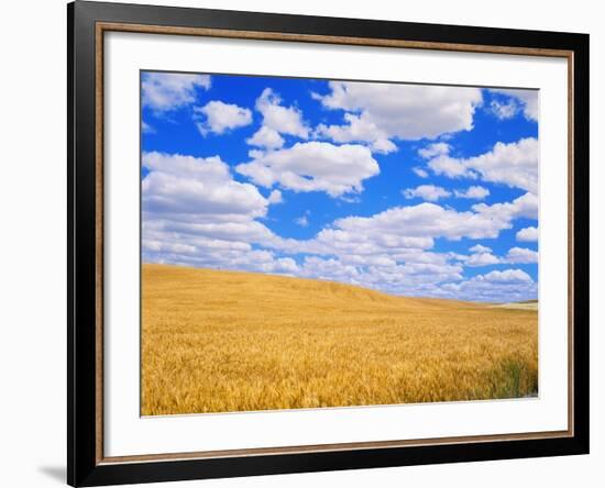 Fields of Wheat-Darrell Gulin-Framed Photographic Print