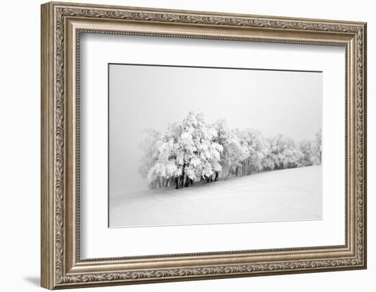 Fields of White-Philippe Sainte-Laudy-Framed Photographic Print