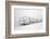 Fields of White-Philippe Sainte-Laudy-Framed Photographic Print