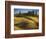 Fields, Palouse, Whitman County, Washington, USA-Charles Gurche-Framed Photographic Print