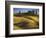 Fields, Palouse, Whitman County, Washington, USA-Charles Gurche-Framed Photographic Print