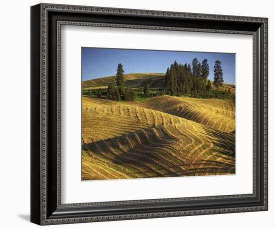 Fields, Palouse, Whitman County, Washington, USA-Charles Gurche-Framed Photographic Print