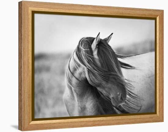 Fierce Grace-Tony Stromberg-Framed Premier Image Canvas