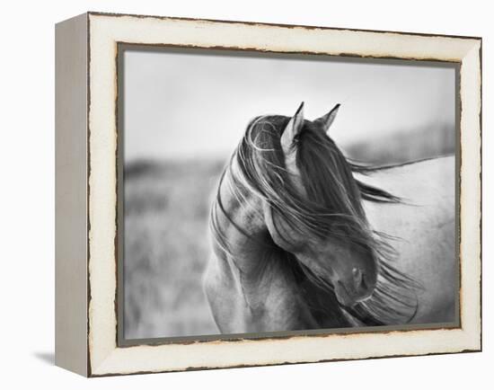 Fierce Grace-Tony Stromberg-Framed Premier Image Canvas