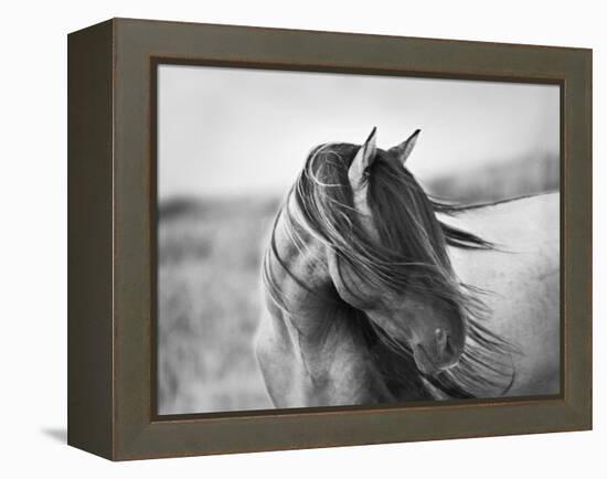 Fierce Grace-Tony Stromberg-Framed Premier Image Canvas