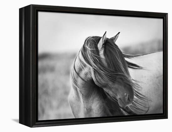 Fierce Grace-Tony Stromberg-Framed Premier Image Canvas