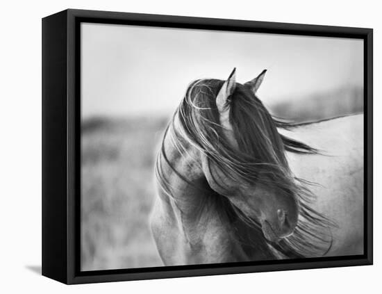 Fierce Grace-Tony Stromberg-Framed Premier Image Canvas