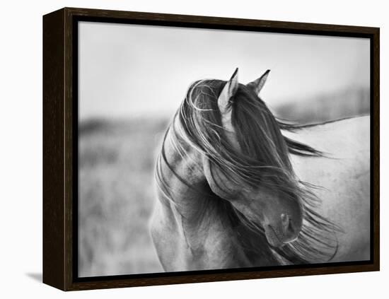 Fierce Grace-Tony Stromberg-Framed Premier Image Canvas