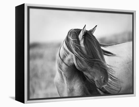 Fierce Grace-Tony Stromberg-Framed Premier Image Canvas