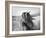 Fierce Grace-Tony Stromberg-Framed Premium Photographic Print