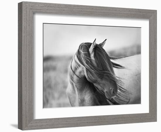 Fierce Grace-Tony Stromberg-Framed Premium Photographic Print