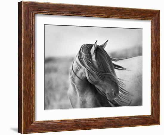 Fierce Grace-Tony Stromberg-Framed Premium Photographic Print