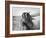 Fierce Grace-Tony Stromberg-Framed Premium Photographic Print