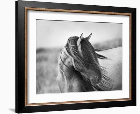 Fierce Grace-Tony Stromberg-Framed Premium Photographic Print