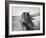 Fierce Grace-Tony Stromberg-Framed Premium Photographic Print