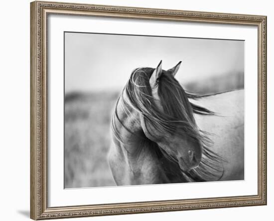 Fierce Grace-Tony Stromberg-Framed Premium Photographic Print