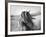 Fierce Grace-Tony Stromberg-Framed Premium Photographic Print