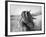 Fierce Grace-Tony Stromberg-Framed Premium Photographic Print