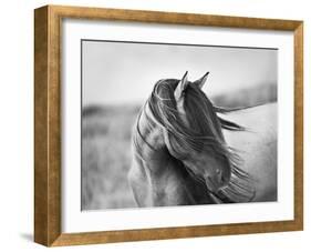 Fierce Grace-Tony Stromberg-Framed Photographic Print