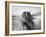 Fierce Grace-Tony Stromberg-Framed Photographic Print