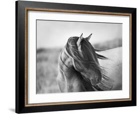 Fierce Grace-Tony Stromberg-Framed Photographic Print