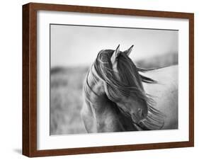 Fierce Grace-Tony Stromberg-Framed Photographic Print