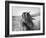 Fierce Grace-Tony Stromberg-Framed Photographic Print