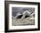 Fierce Lake Superior Waves Pound Minnesota's North Shore-Layne Kennedy-Framed Photographic Print