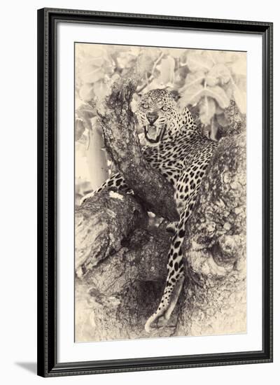 Fierce-null-Framed Giclee Print