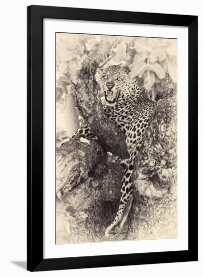 Fierce-null-Framed Giclee Print