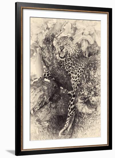 Fierce-null-Framed Giclee Print