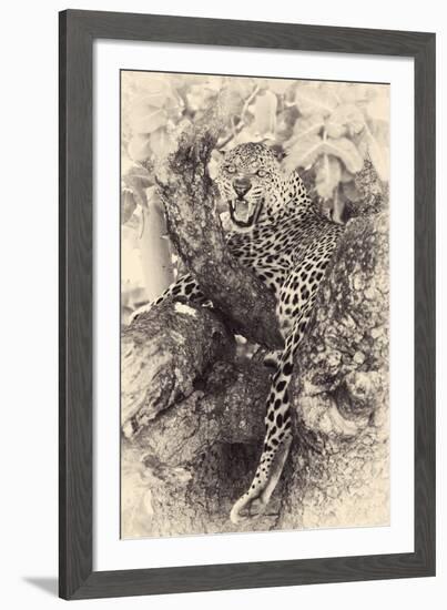 Fierce-null-Framed Giclee Print