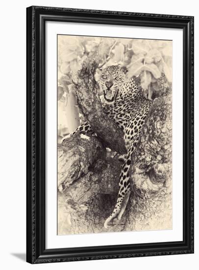 Fierce-null-Framed Giclee Print