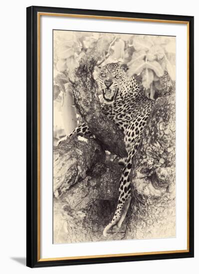 Fierce-null-Framed Giclee Print